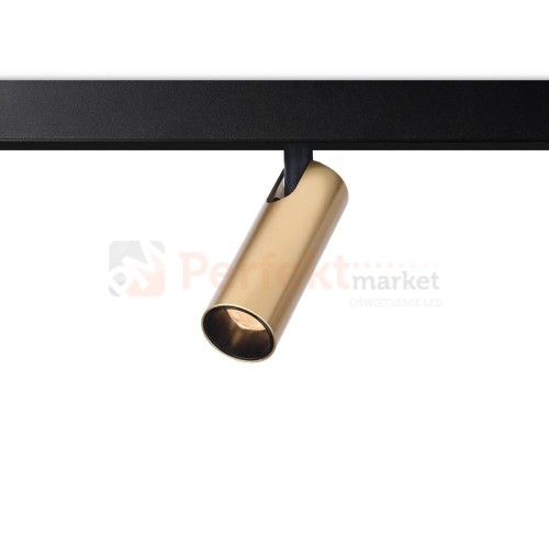 dots mini gold.jpg