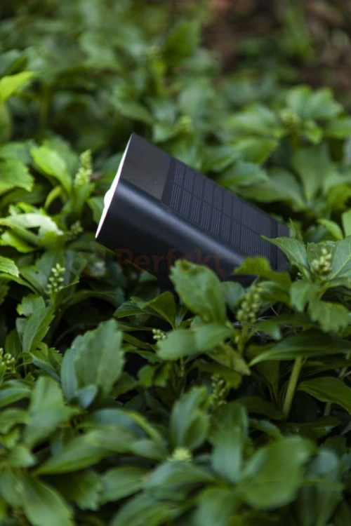 Reflektor ogrodowy LED solarny GINBO SOLAR LED SPIKE  PIR czarny Lutec perfektmarket 4.jpg