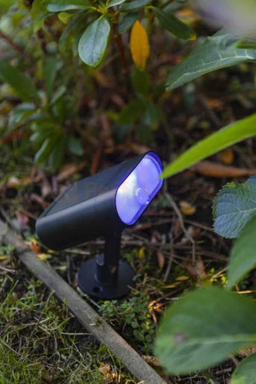 Reflektor ogrodowy LED solarny GINBO SOLAR LED SPIKE  PIR czarny Lutec perfektmarket fiolet.jpg