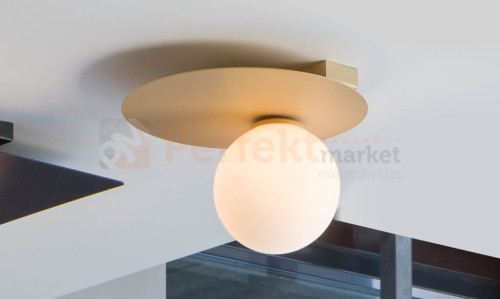33264-ARGON-1-kolo-zloty-1-perfektmarket-1.jpg