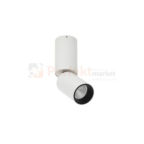 Oprawa sufitowa reflektor spotlight regulowany LED Camali 5W 3000K perfektmarket 1.jpg