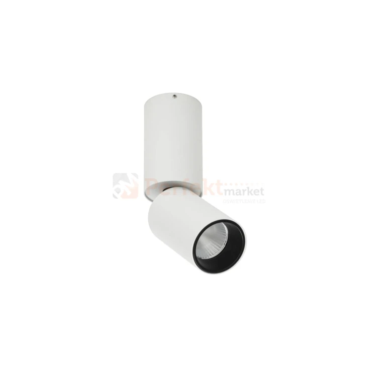 Oprawa sufitowa reflektor spotlight regulowany LED Camali 5W 3000K perfektmarket 1.jpg
