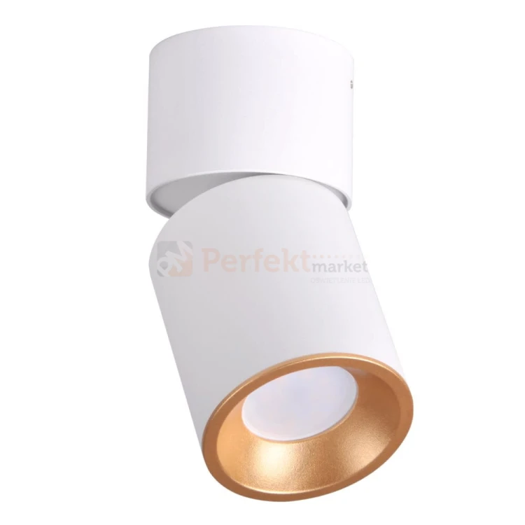 Oprawa natynkowa regulowana spotlight tuba Nixa GU10 biało złota 314260.jpg