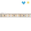Taśma LED wodoodporna IP67 600 SMD 2835 24V 48W rolka 5mb perfektmarket 2-2.jpg