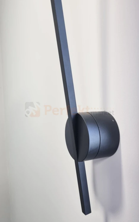 spider maxilight 3.jpg