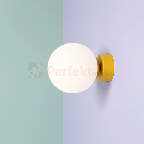 2-ball-wall-mustard-male perfektmarket.jpg