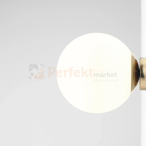 1-ball-wall-gold2014-male perfektmarket.jpg