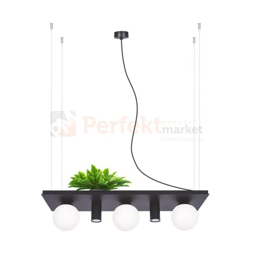 5555 PLANT SHELF lampa wisząca czarna black z miejscem na kwiaty perfektmarket 1.jpg