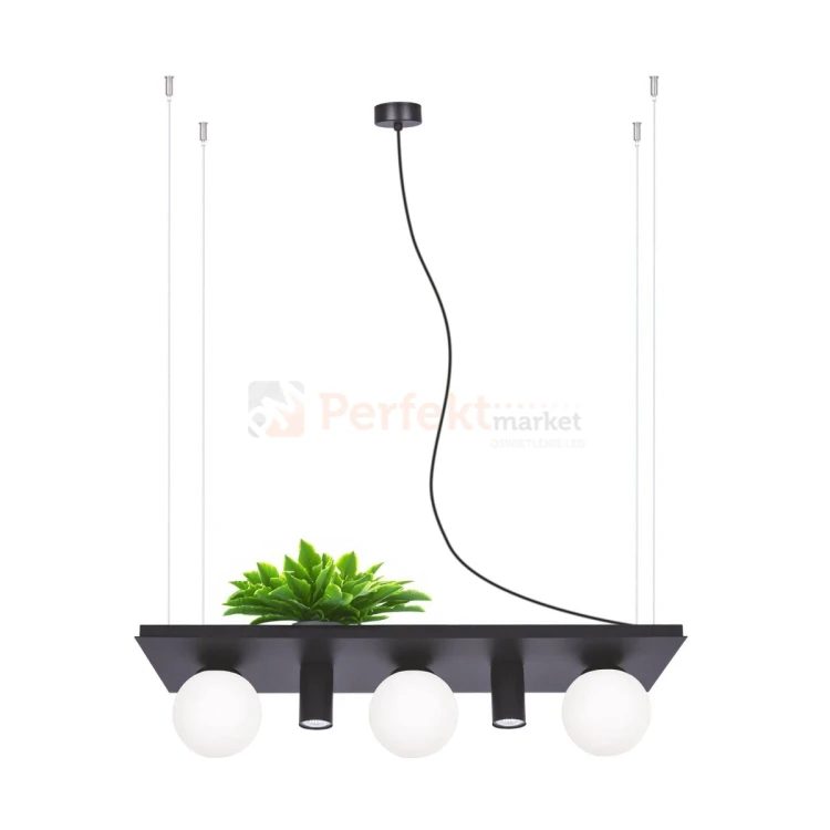 5555 PLANT SHELF lampa wisząca czarna black z miejscem na kwiaty perfektmarket 1.jpg