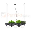 5555 PLANT SHELF lampa wisząca czarna black z miejscem na kwiaty perfektmarket 2.jpg
