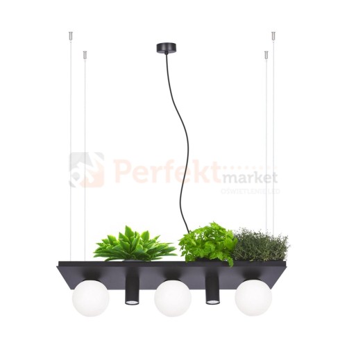 5555 PLANT SHELF lampa wisząca czarna black z miejscem na kwiaty perfektmarket 2.jpg