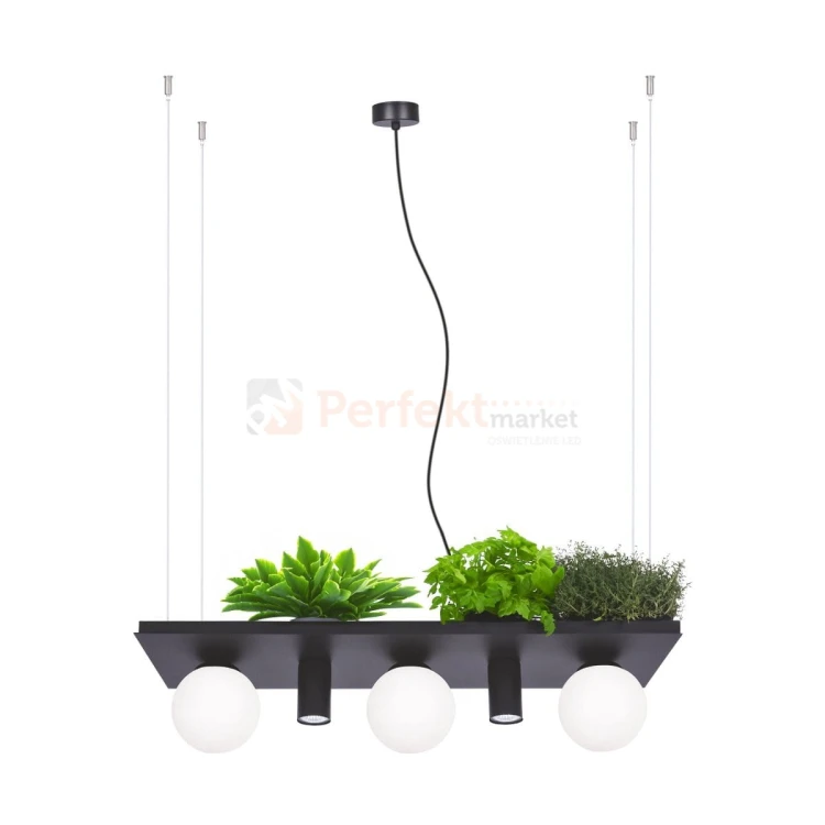 5555 PLANT SHELF lampa wisząca czarna black z miejscem na kwiaty perfektmarket 2.jpg