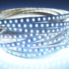 tasma-led-profesjonalna-ra85-ip20-120-smd-11000-barwa-1-perfektmarket.jpg
