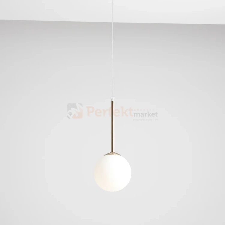 2-balia14gold-male.jpg