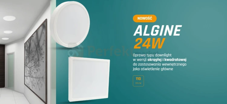 Agline perfektmarket.jpg