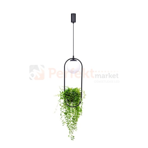 5003_3 perfektmarket.jpg