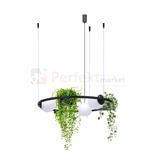 5005_3 perfektmarket.jpg