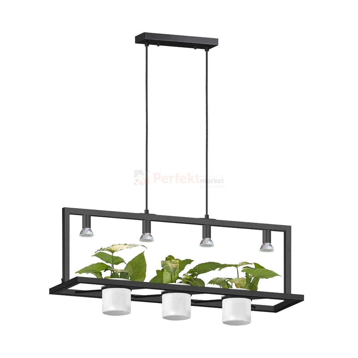 p0536-04b-p7ab_1 perfektmarket.jpg