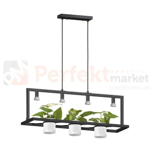 Lampa wisząca PLANTER  czarna z miejscem na kwiaty lub zioła Zuma Line  P0536-04B-P7AB