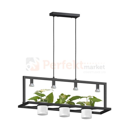 p0536-04b-p7ab_1 perfektmarket.jpg