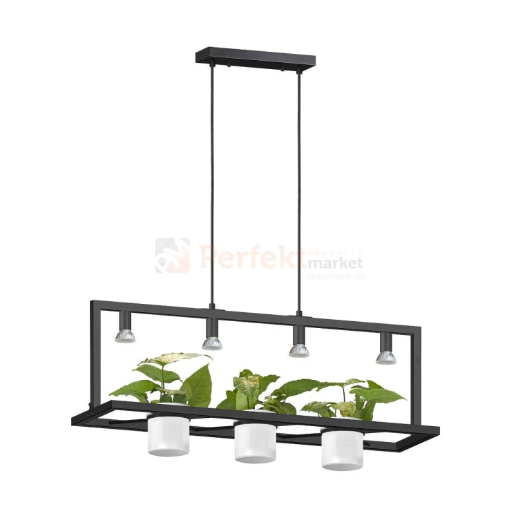 p0536-04b-p7ab_1 perfektmarket.jpg