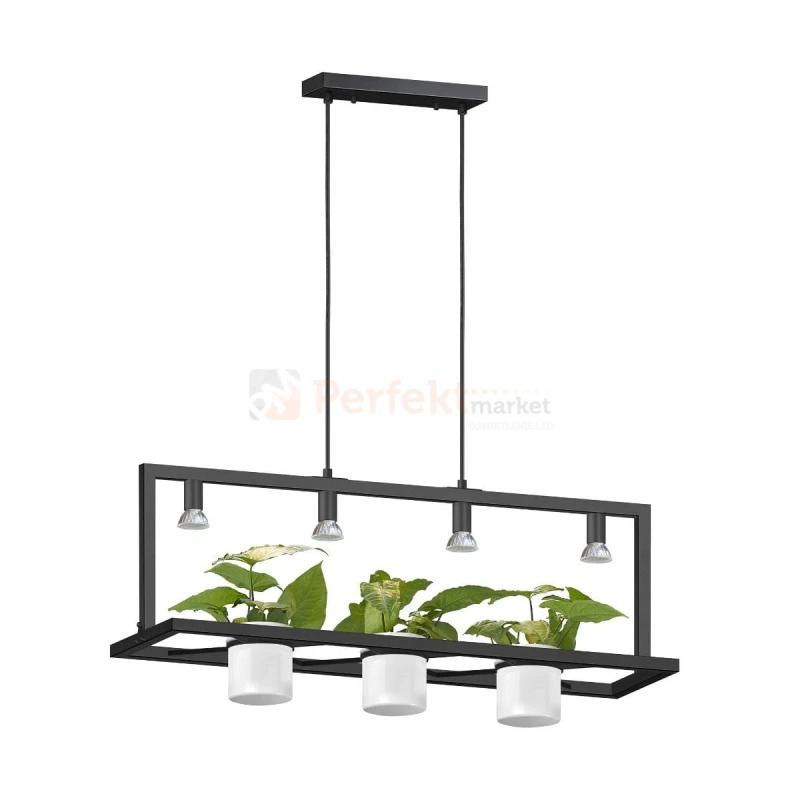 p0536-04b-p7ab_1 perfektmarket.jpg