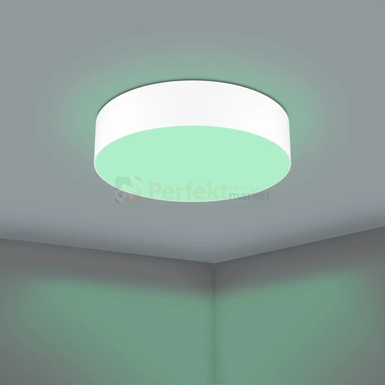 Lampa sufitowa LED Smart ROMEO-Z CCT biała pilot aplikacja perfektmarket olsztyn 2.webp