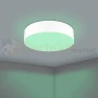 Lampa sufitowa LED Smart ROMEO-Z CCT biała pilot aplikacja perfektmarket olsztyn 2.webp