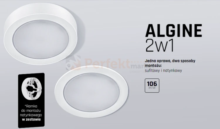 algine 2w1 banner.webp