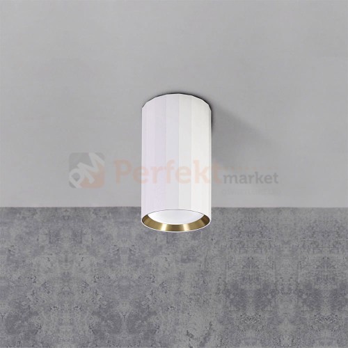 Oprawa natynkowa TUBA spot 1xGU10 NICEA w kolorze biało-złotym w aranżacji