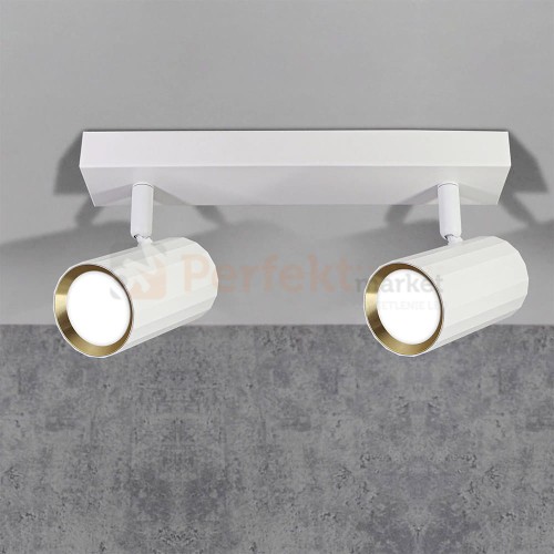Listwa ścienno-sufitowa 2xGU10 NICEA biało-złota - dwupunktowa lampa LED typu spotlight do wnętrz