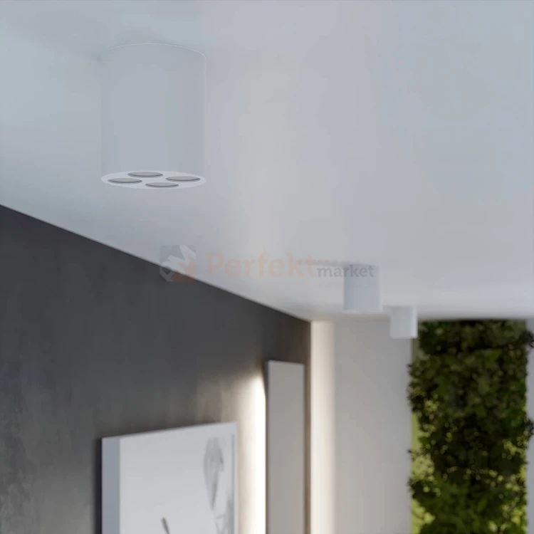 Lampa sufitowa LED downlight ZOE biały SL.1209 aranżacja perfektmarket.webp