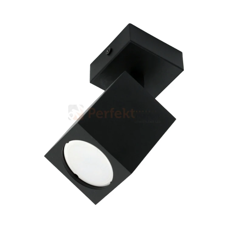 Lampa ścienno sufitowa reflektorek Quantus I czarny perfektmarket.webp