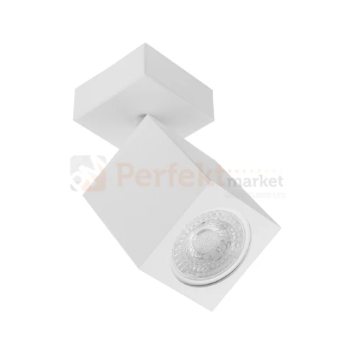 Lampa ścienno sufitowa reflektorek Quantus I biały 1 perfektmarket.webp