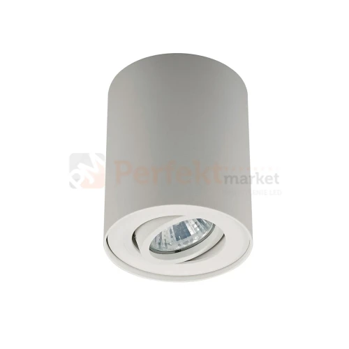 Oprawa sufitowa spot Rondoc 20038-WH-N biała Zuma Line perfektmarket.webp