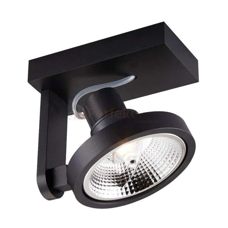 Oprawa spotlight regulowana reflektor Master ACGU10-181-N MASTER 111 SL Zuma Line perfektmarket.webp