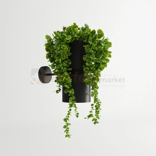 Lampa ścienna kinkiet KUKKIA czarny TH.005CZ Thoro 1 perfektmarket.webp