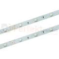ID-2410 PERFEKT MARKET OLSZTYN 1.webp