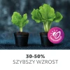 zarówka led planty do wzrostu roślin E27 24W zalety 2 perfektmarket olsztyn.webp