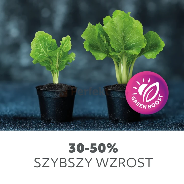 zarówka led planty do wzrostu roślin E27 24W zalety 2 perfektmarket olsztyn.webp