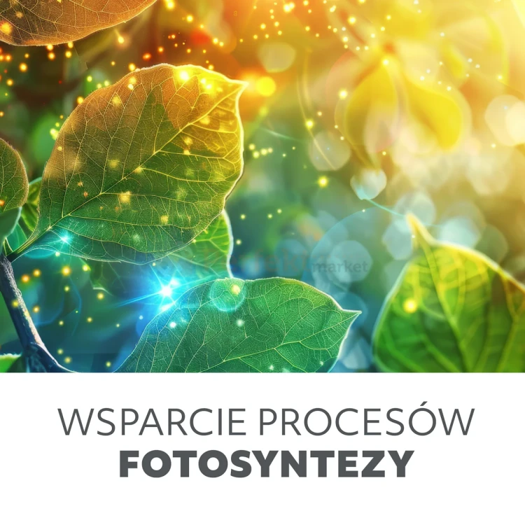zarówka led planty do wzrostu roślin E27 24W zalety perfektmarket olsztyn.webp