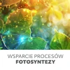 zarówka led planty do wzrostu roślin E27 24W zalety perfektmarket olsztyn.webp