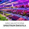 zarówka led planty do wzrostu roślin E27 24W zalety 1 perfektmarket olsztyn.webp