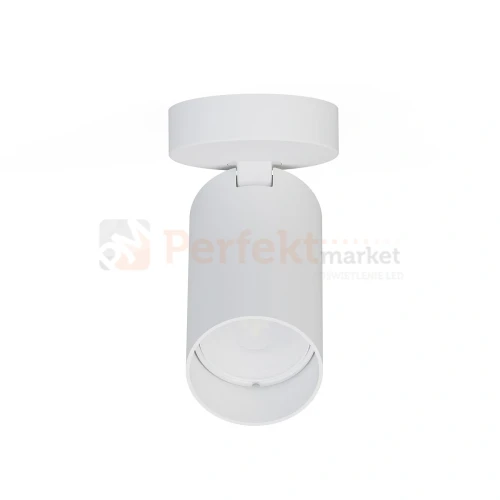 Lampa sufitowa spot regulowany MONO I biała 7807 1 perfektmarket.webp