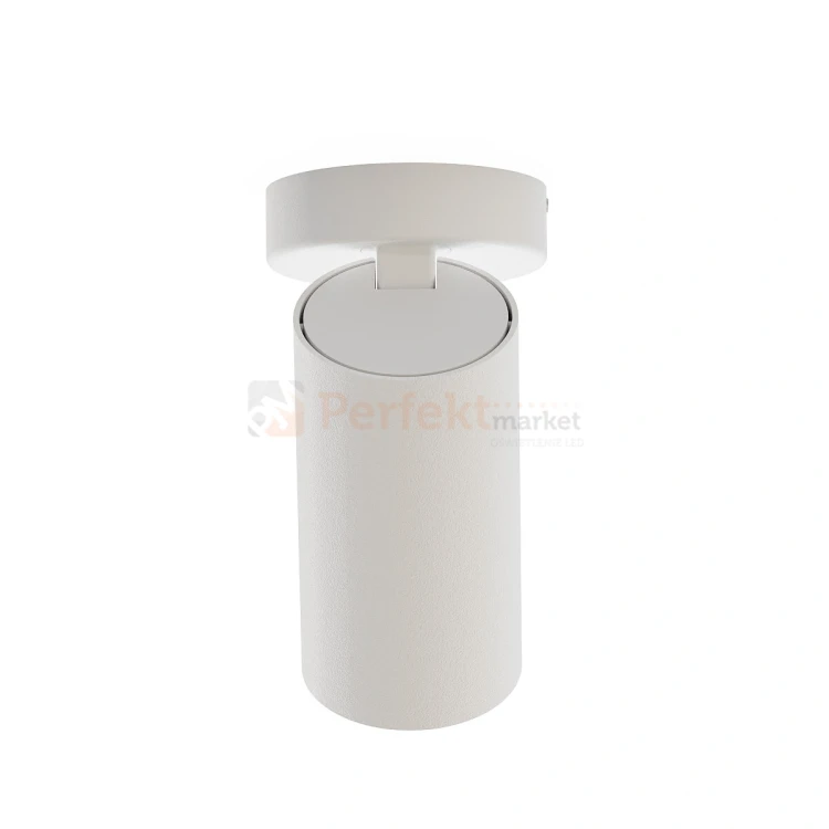 Lampa sufitowa spot regulowany MONO I biała 7807 3 perfektmarket.webp