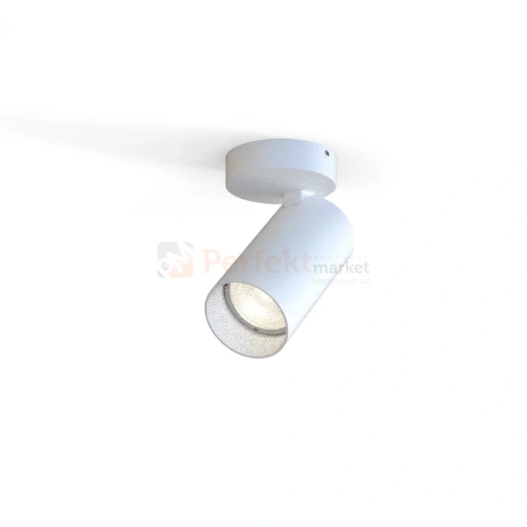 Lampa sufitowa spot regulowany MONO I biała 7807 5 perfektmarket.webp
