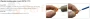 wago 1.webp