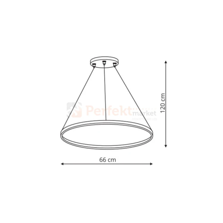 ring 66.webp