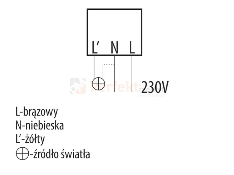 ID-7710 perfekt market olsztyn 5.webp