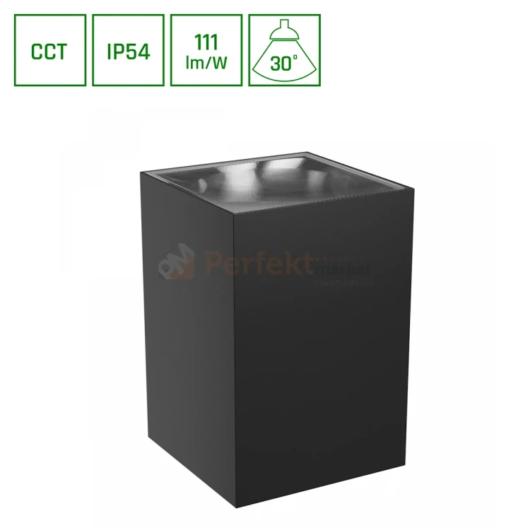 Kinkiet ścienny zewnętrzny elewacyjny TORRE CCT kwadratowy 9W IP54 perfektmarket.webp